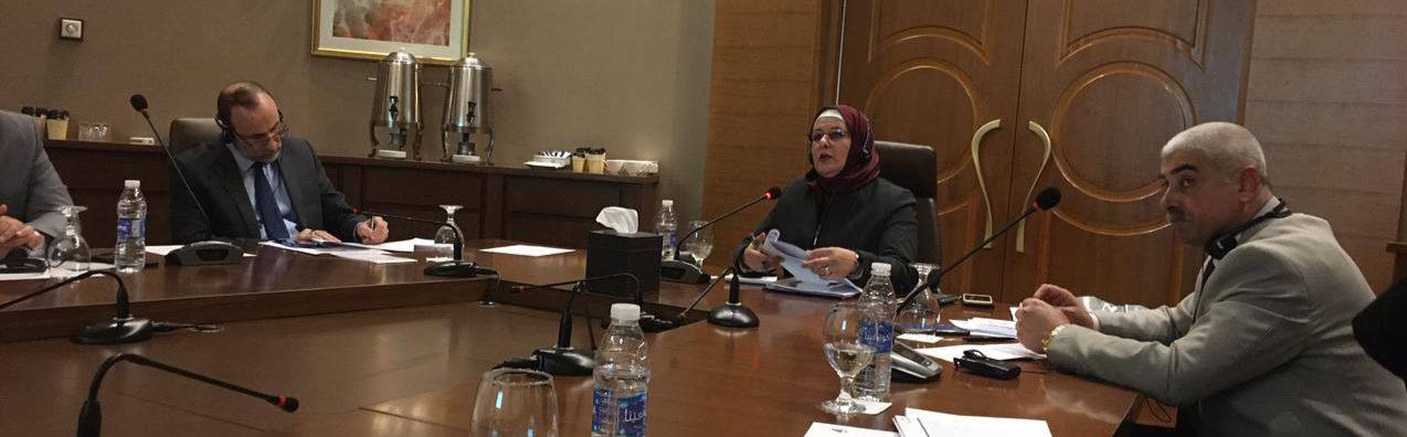 You are currently viewing التخطيط تعقد ورشة عمل لمراجعة رأس المال البشري في العراق